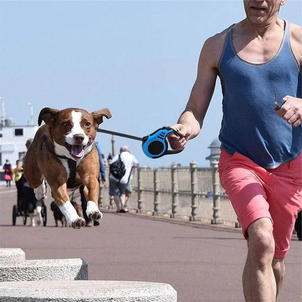 500 cm Dog & Cat Leash – Durable Multicolor Pet Strap for Walking - ADRO CLOTHING AND ACCESSORIES